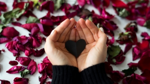 Broken Heart Sadness Frustration Flower Leafs